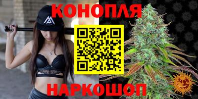 дмт Бийск