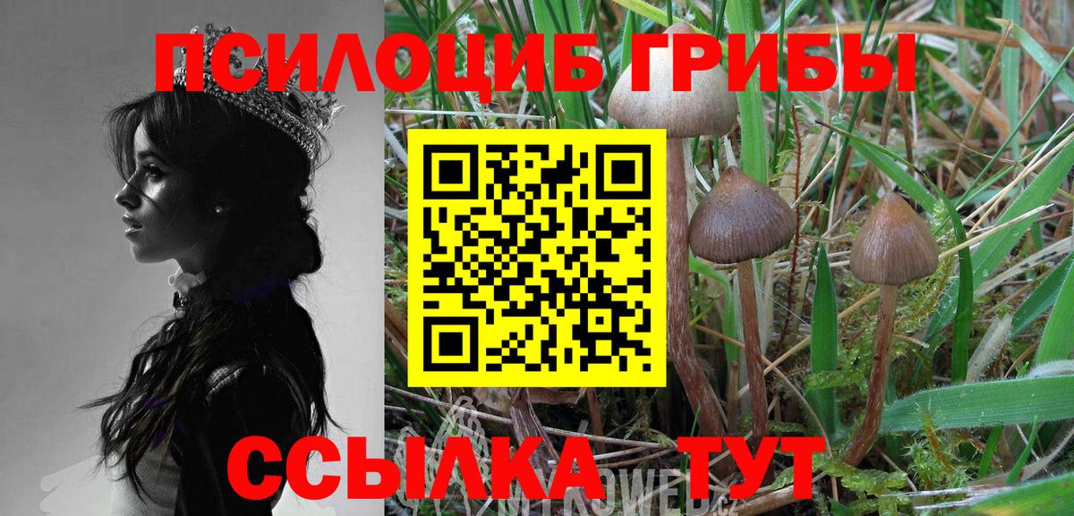 Галлюциногенные грибы GOLDEN TEACHER Выкса