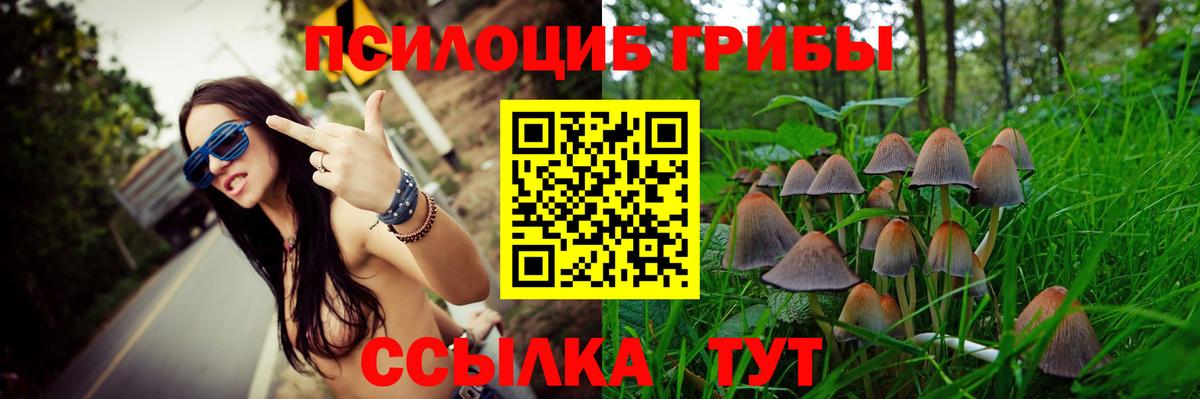 Галлюциногенные грибы Psilocybe  Вход с VPN  Выкса 