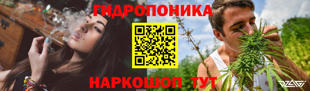 Конопля гибрид  Вход с VPN  Бошки Шишки индика  Выкса 